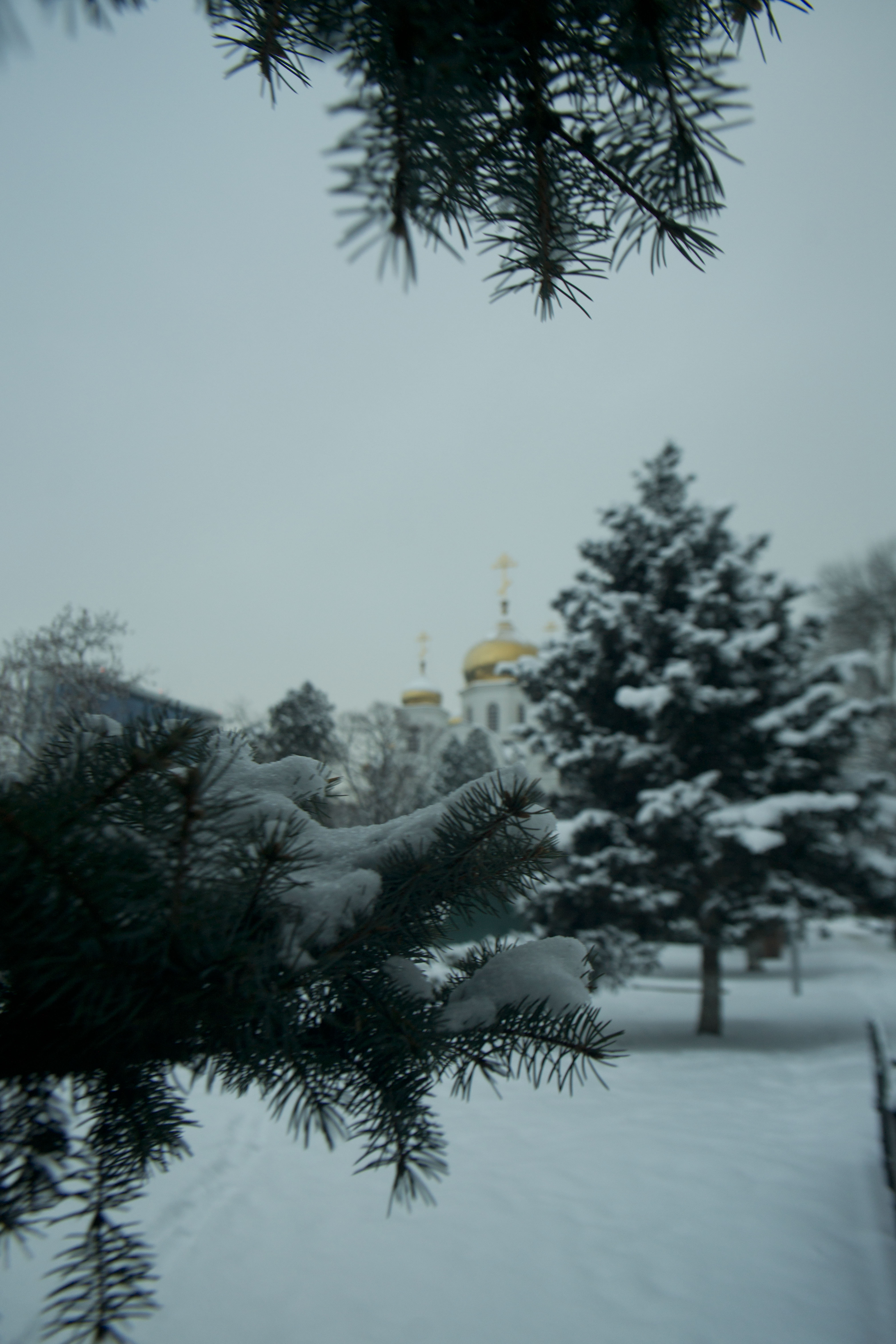 Экскурсии в Краснодаре зимой